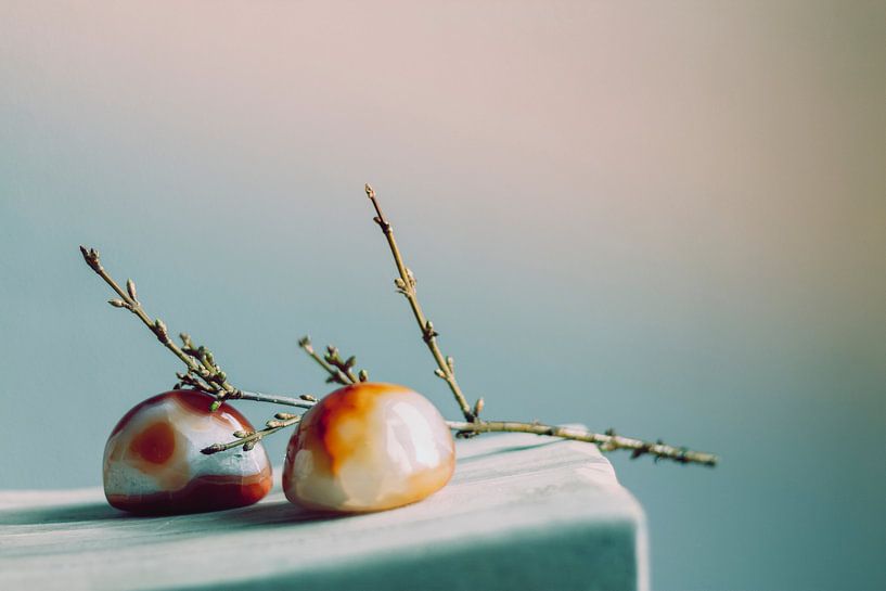 Still life by Paul Kampman