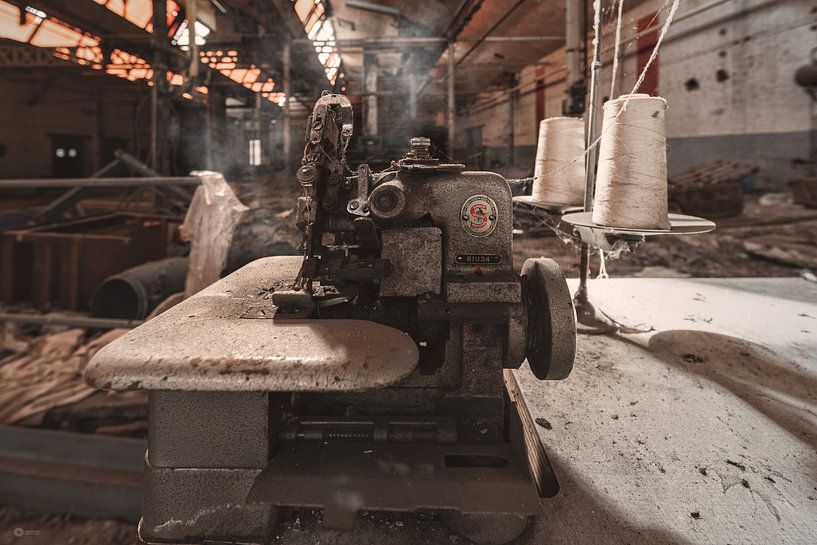 Nahaufnahme von romario rondelez