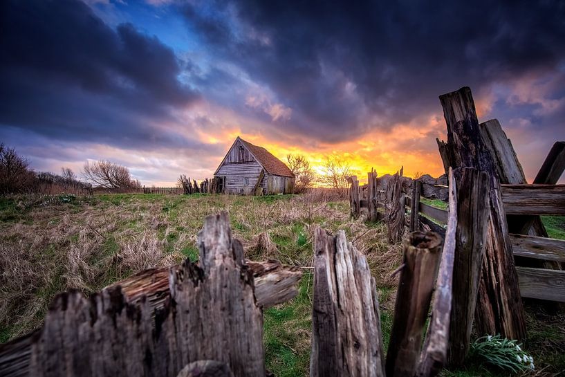 Boetje von Kikkert auf Texel. von Justin Sinner Photography (Fotograf auf Texel)