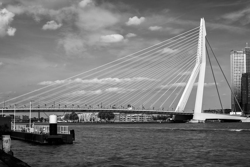 Rotterdam, Erasmus bridge. by Lorena Cirstea