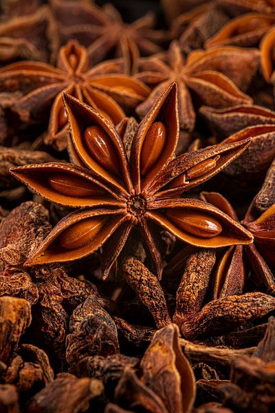 Imperfection is perfect: A star anise among others by Marjolijn van den Berg