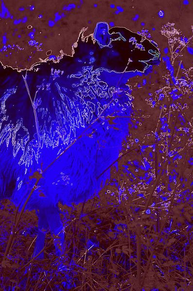 Sheep in Purple &amp; Blue von De Rover