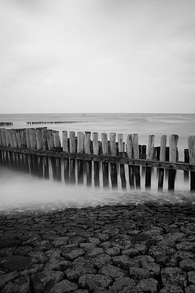 Beiträge im &quot;Nebel&quot; II von Leo van Valkenburg