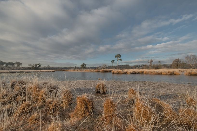 Paysage pollinique Hatertse Vennen par Moetwil en van Dijk - Fotografie