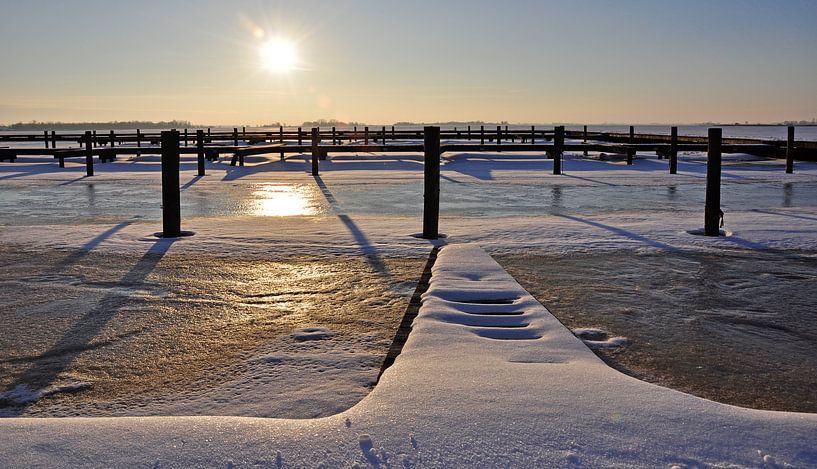 Schildmeer von Pim Feijen