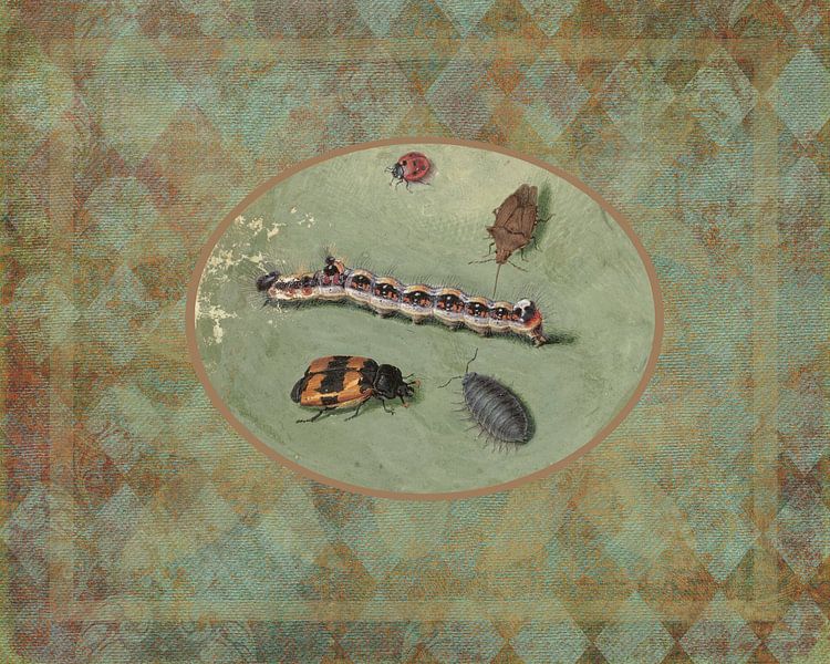 Caterpillar par Irene Hoekstra