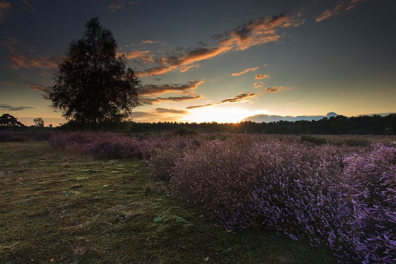 Avond sfeer by Hans Koster