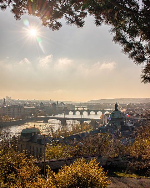 Atemberaubender Blick über die Stadt Prag, Tschechische Republik von Patrick Fotografeert