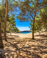 Beautiful view of the idyllic bay Calo de sa Barca Trencada