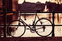 Fiets bij de Hofvijver