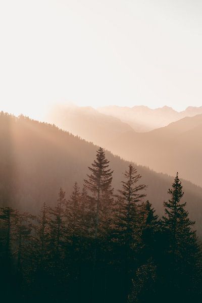 Warm Sunset in the Mountains by Sophia Eerden