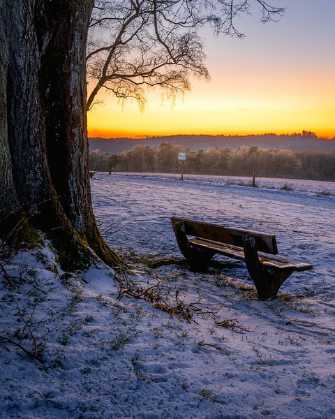Take a seat by Joris Machholz