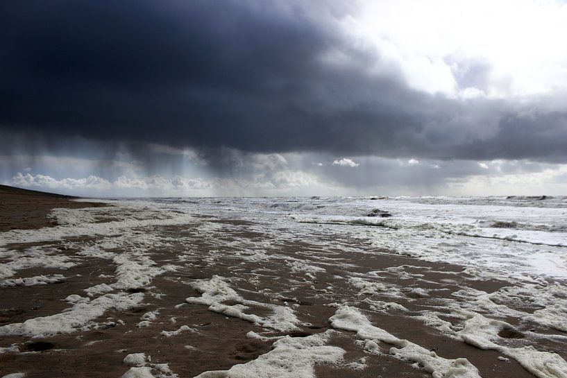 Strand von Daphne Meijer