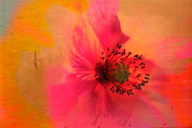 Embrasement von Martine Affre Eisenlohr