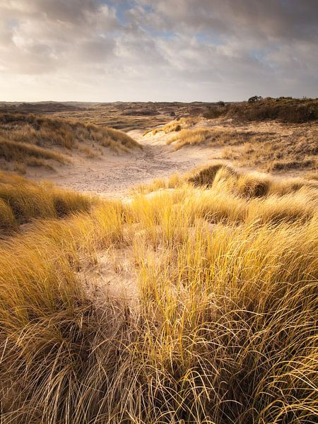 Herbe au casque de danse par David Hanlon