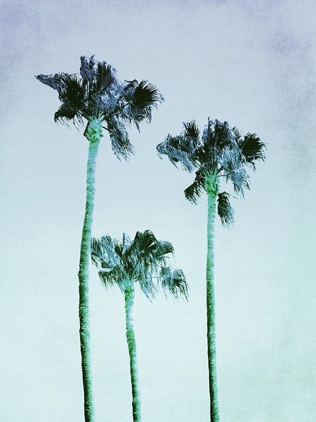 PASTEL PALM TREES no3 von Pia Schneider