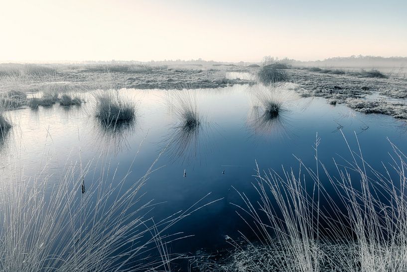 De stilte by Göran Dekker