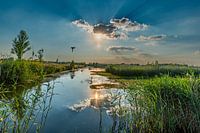 Park Lingezegen at low sun