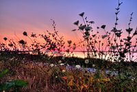 Sonnenuntergang Eemmeer bei Spakenburg