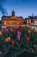 Tulpen am Dam-Platz, Abendversion