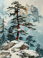 Winterlandschaft Berge Kiefern Gebirge Schnee Felsen ruhig