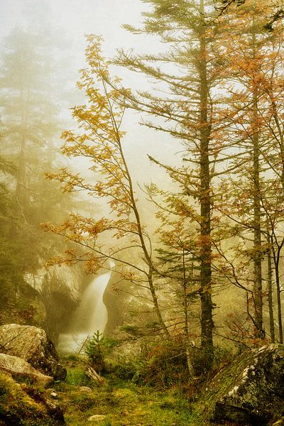 Stürze oder Kautereien von Lars van de Goor