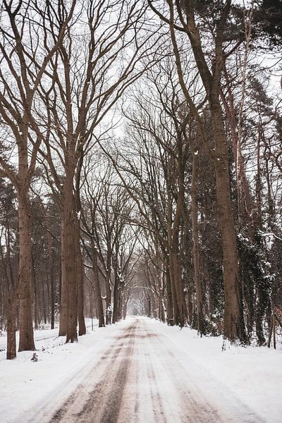 Let it snow by Tessa in Focus