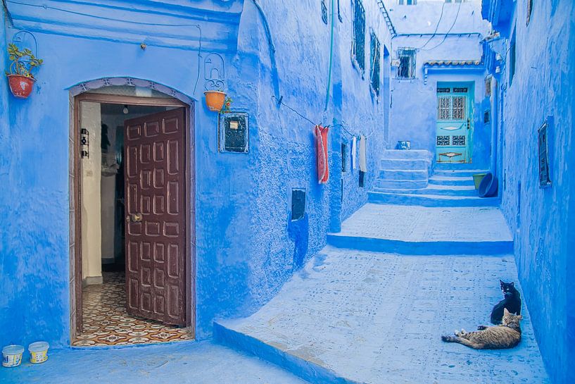 chefchaouen 02 von eric t'kindt