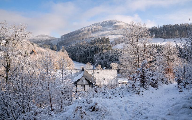 Hiver à Schmallenberg, Sauerland, Allemagne par Alexander Ludwig