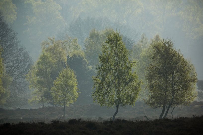 Lente op de Valeberg Ede by Photo 4u