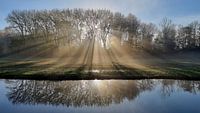 Sonnenaufgang mit Sonnenstrahlen in Deftse Hout in Delfgauw (NL)
