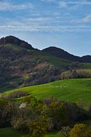 Saint Michel Camino Frances