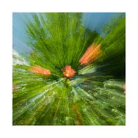 Zoom blur photography