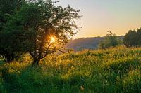 Sunset in the Blue Room
