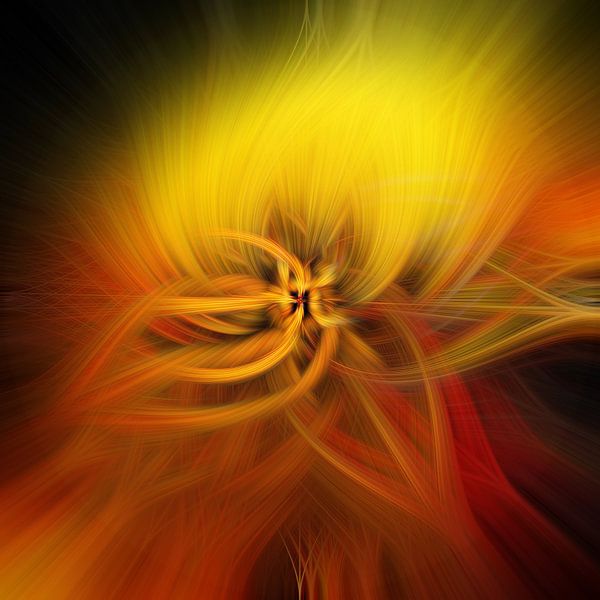 Fleur de lumière. Feu d&#039;artifice géométrique abstrait. Brillance dorée. par Dina Dankers