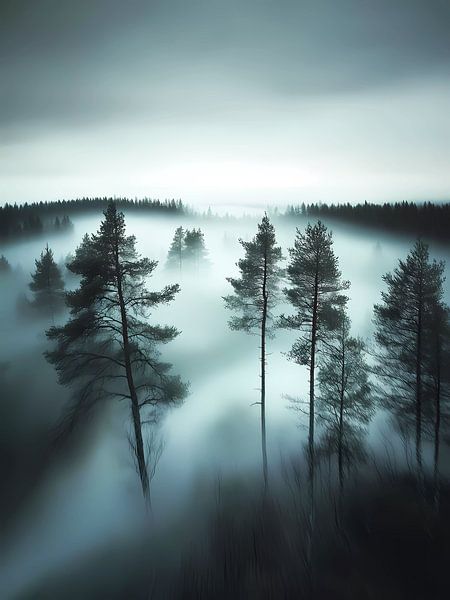 Forêt brumeuse par haroulita