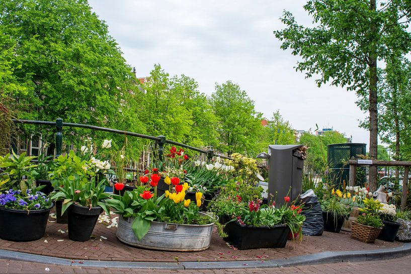 Tulipes d'Amsterdam par Peter Bartelings