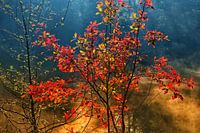 Autumnmood | Twickel Delden (6)