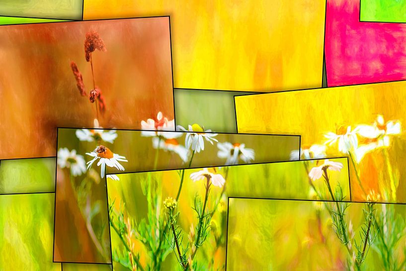 Frühling in Abstraktion von Arjen Roos