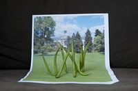 Gruppenbild von grünen Bohnen vor ihrer Villa