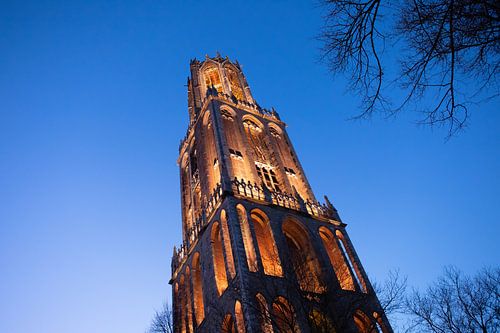 The Cathedral photographed from below during the blue hour (landscape) by André Blom Fotografie Utrecht