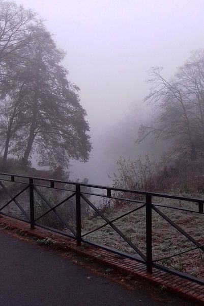 Mistige ochtend, Zuiderpark by Rinke Velds