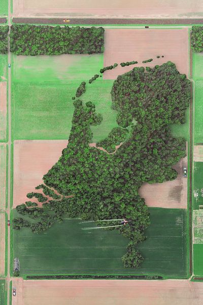 Aerial view of Forest in Shape of the Netherlands - Unique Landscape Artwork with Dutch Plains by Elianne van Turennout