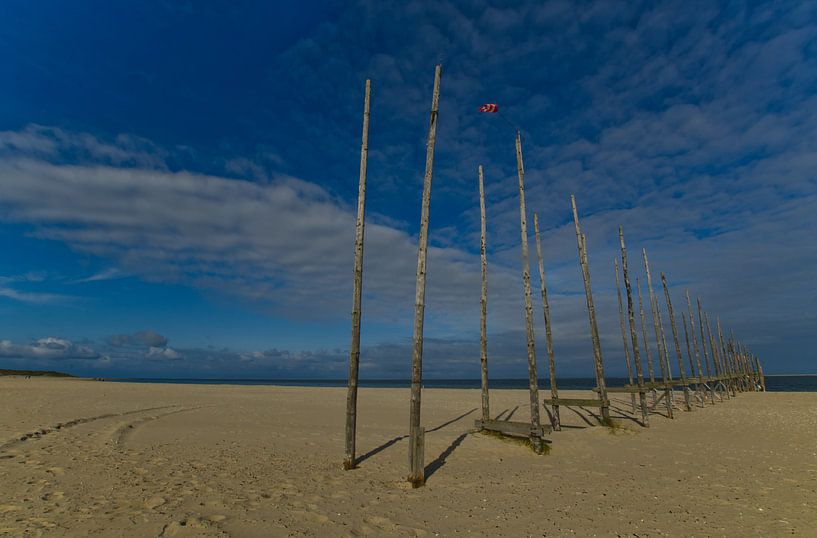 Steiger op het strand van Wim van der Geest