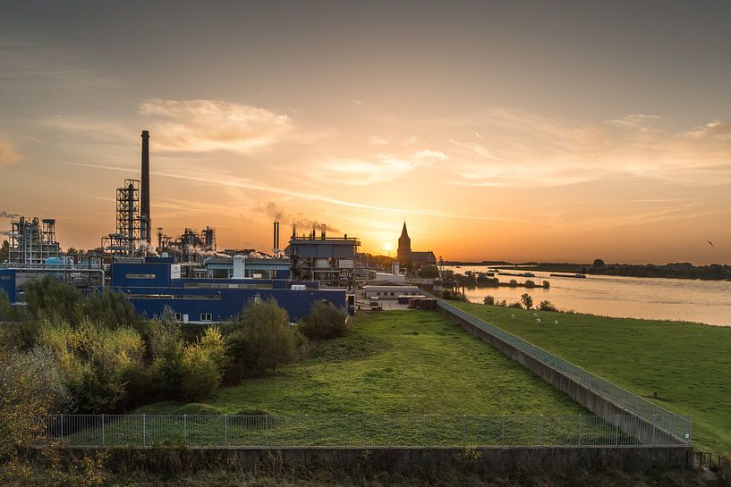 Flussdelta in der Morgensonne von Thomas Boelaars
