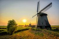 So schön, so rein, so Dutch