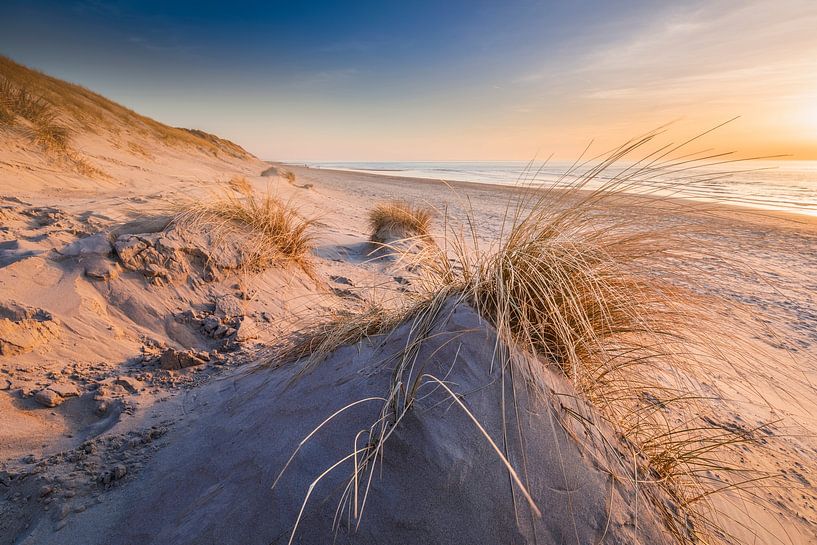 In den Dünen von Texel von Ton Drijfhamer