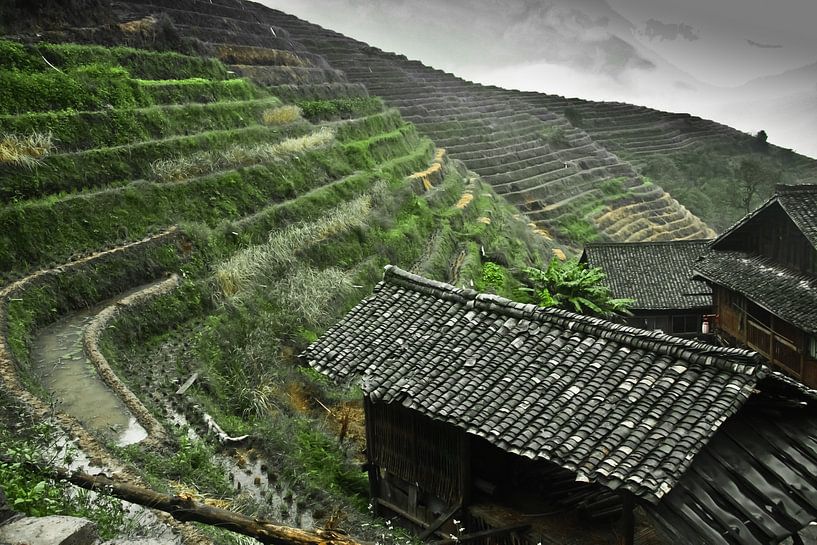 Ferme traditionnelle. Paysage automnal brumeux avec rizières en terrasses. Chine, Yangshuo, Longshen par Michael Semenov