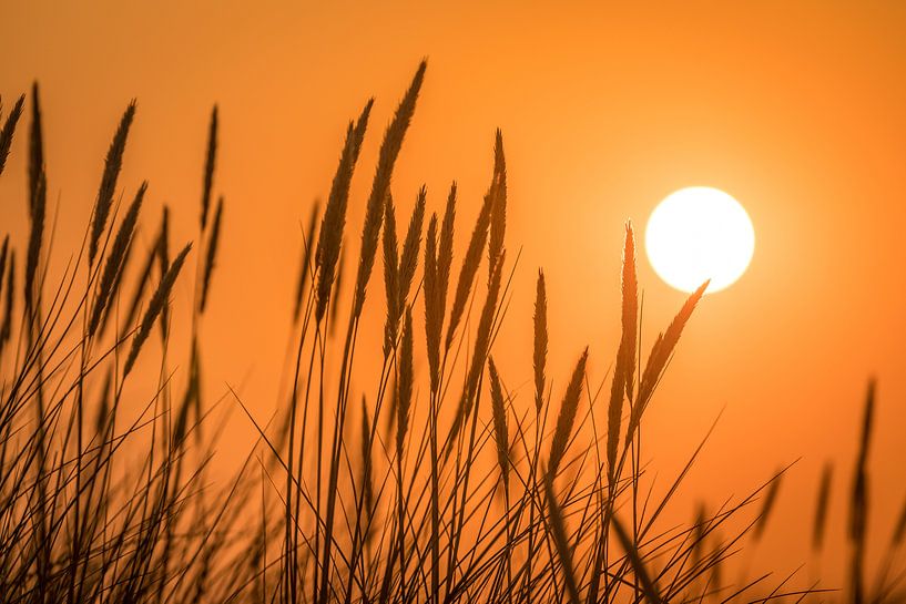 Coucher de soleil dans les dunes par Christian Müringer