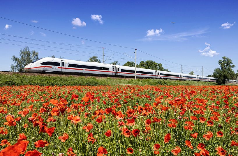 ICE Express passes poppy field by Frank Herrmann